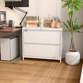 Metal Lateral File Cabinet, 2 Drawers Lateral Filing Cabinet, Office Wide Storage File Cabinet For Letter,Legal,A4 Size, Assembly Required