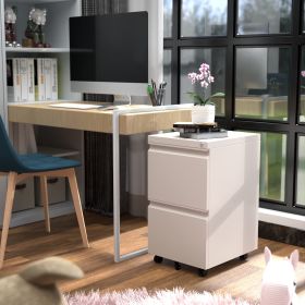 Mobile Metal 2 Drawer File Cabinet With Lock, Rolling Cabinet For Both Legal And Letter Size Hanging Folders, Perfect File Storage For Home Office, Pr